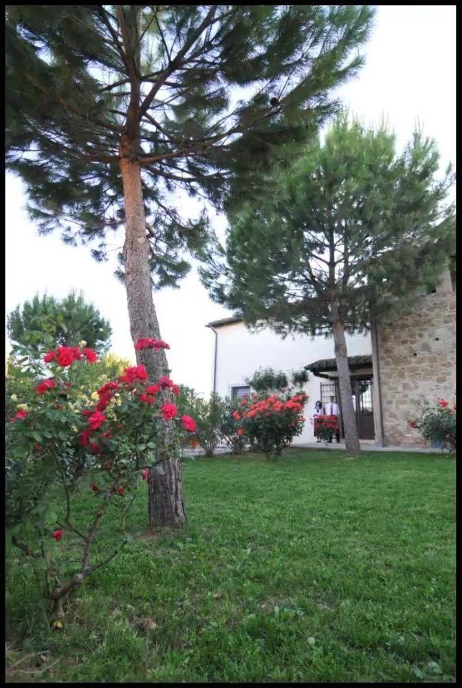 Agriturismo La Ginestrella Civitella D'Arna Exterior photo